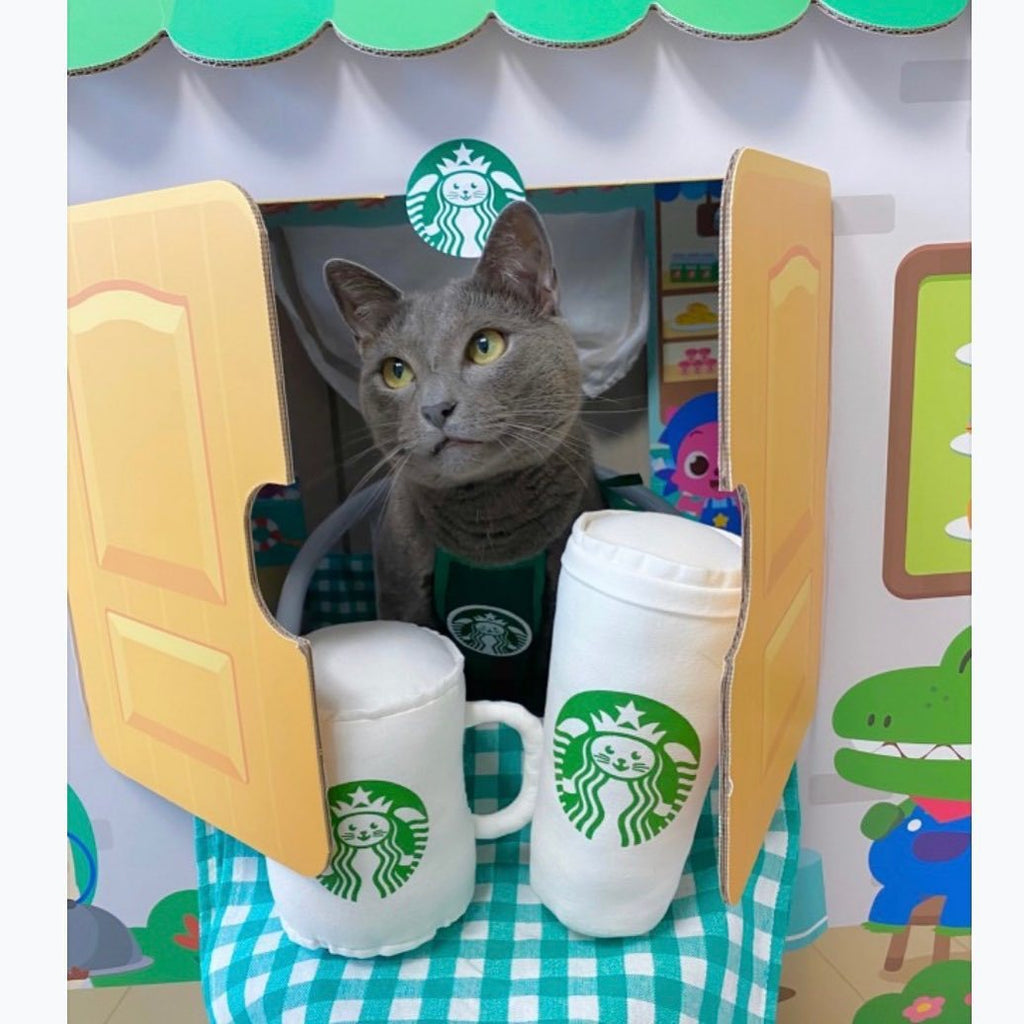 Cute Star Cat Barista Apron Bib for Cats & Dogs
