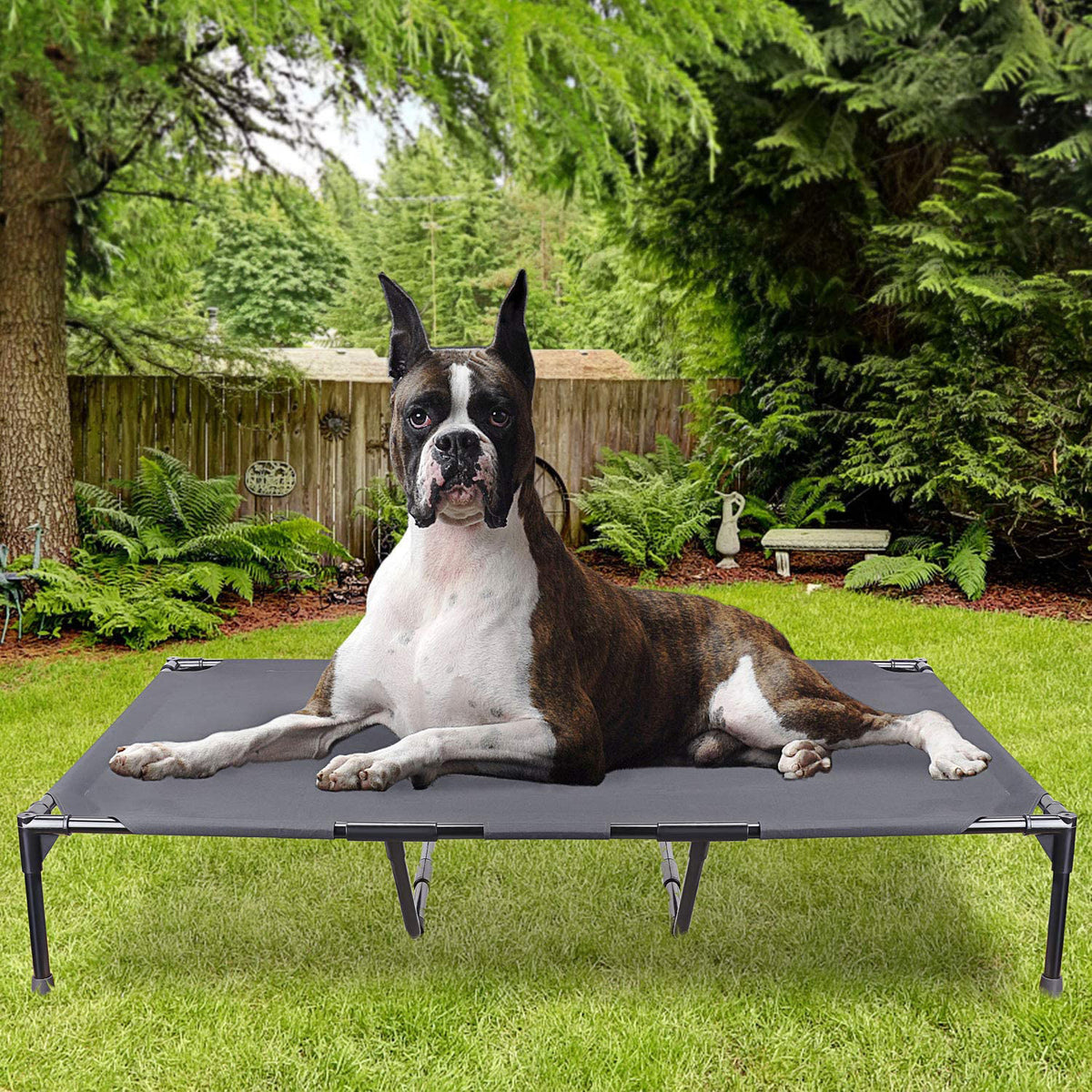 Elevated Outdoor Pet Camping Bed