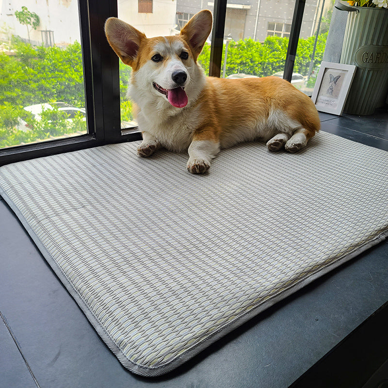 Ice Silk Cooling Pet Mat