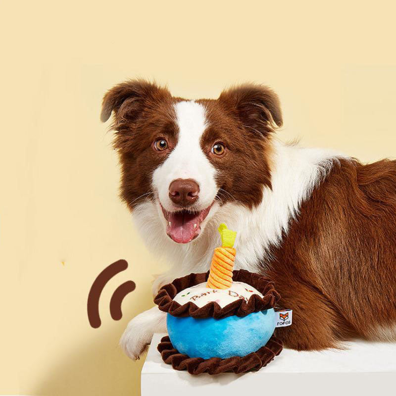Birthday Cake Catnip Squeaky Toy
