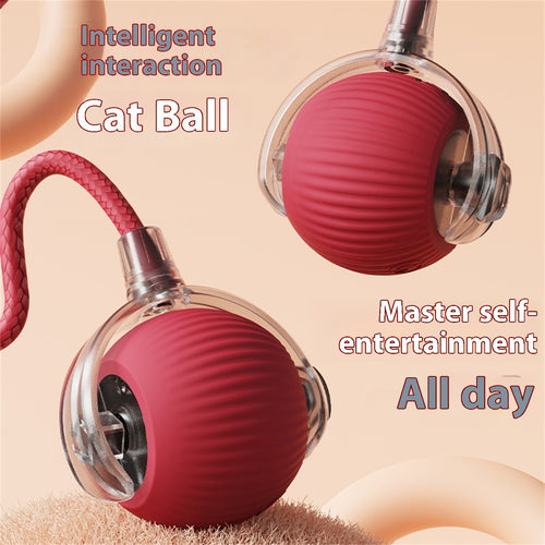 Bird Sound Rolling Ball Cat Toy