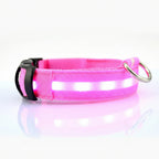 LED Light-Up Dog Safety Collar