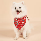 Festive Double-Sided Pet Triangle Scarf