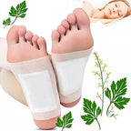Foot patches with green leaves and a person sleeping in the background